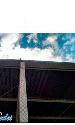 Rede de proteção antipássaros. Rede de proteção antipássaros.