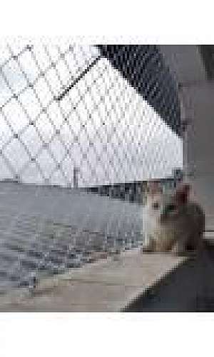 Rede de proteção gato Rede de proteção gato